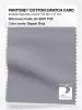 Product image 1 of the product “PANTONE® COTTON SWATCH CARD 16-3907 TCX Dapple Gray ”