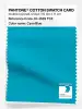 Product image 1 of the product “PANTONE® COTTON SWATCH CARD 16-4529 TCX Cyan Blue ”