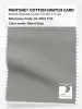 Product image 1 of the product “PANTONE® COTTON SWATCH CARD 16-4703 TCX Ghost Gray ”