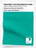 Product image 1 of the product “PANTONE® COTTON SWATCH CARD 16-5425 TCX Pool Green ”