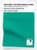 Product image 1 of the product “PANTONE® COTTON SWATCH CARD 16-5533 TCX Arcadia ”