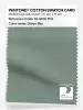 Artikelbild 1 des Artikels “PANTONE® COTTON SWATCH CARD 16-5810 TCX Green Bay “