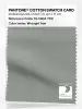Product image 1 of the product “PANTONE® COTTON SWATCH CARD 16-5904 TCX Wrought Iron ”