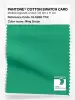 Product image 1 of the product “PANTONE® COTTON SWATCH CARD 16-5930 TCX Ming Green ”