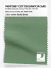 Product image 1 of the product “PANTONE® COTTON SWATCH CARD 16-6116 TCX Shale Green ”