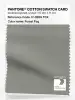 Product image 1 of the product “PANTONE® COTTON SWATCH CARD 17-0209 TCX Forest Fog ”