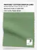Artikelbild 1 des Artikels “PANTONE® COTTON SWATCH CARD 17-0215 TCX Aspen Green “