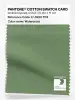 Product image 1 of the product “PANTONE® COTTON SWATCH CARD 17-0220 TCX Watercress ”