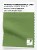 Product image 1 of the product “PANTONE® COTTON SWATCH CARD 17-0235 TCX Piquant Green ”