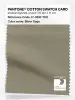 Product image 1 of the product “PANTONE® COTTON SWATCH CARD 17-0510 TCX Silver Sage ”