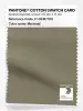 Artikelbild 1 des Artikels “PANTONE® COTTON SWATCH CARD 17-0618 TCX Mermaid “