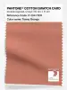 Product image 1 of the product “PANTONE® COTTON SWATCH CARD 17-1341 TCX Tawny Orange ”