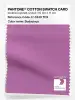 Product image 1 of the product “PANTONE® COTTON SWATCH CARD 17-3240 TCX Bodacious ”