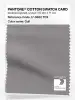 Product image 1 of the product “PANTONE® COTTON SWATCH CARD 17-3802 TCX Gull ”