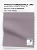 Product image 1 of the product “PANTONE® COTTON SWATCH CARD 17-3808 TCX Nirvana ”