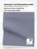 Product image 1 of the product “PANTONE® COTTON SWATCH CARD 17-3933 TCX Silver Bullet ”