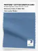Artikelbild 1 des Artikels “PANTONE® COTTON SWATCH CARD 17-4027 TCX Riviera “