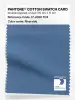 Product image 1 of the product “PANTONE® COTTON SWATCH CARD 17-4028 TCX Riverside ”