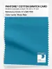 Artikelbild 1 des Artikels “PANTONE® COTTON SWATCH CARD 17-4129 TCX Wave Ride “