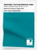 Product image 1 of the product “PANTONE® COTTON SWATCH CARD 17-4724 TCX Pagoda Blue ”
