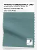 Artikelbild 1 des Artikels “PANTONE® COTTON SWATCH CARD 17-4911 TCX Arctic “