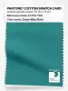 Product image 1 of the product “PANTONE® COTTON SWATCH CARD 17-5117 TCX Green-Blue Slate ”