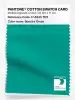 Product image 1 of the product “PANTONE® COTTON SWATCH CARD 17-5335 TCX Spectra Green ”