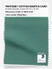 Product image 1 of the product “PANTONE® COTTON SWATCH CARD 17-5513 TCX Deep Sea ”