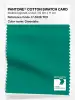 Product image 1 of the product “PANTONE® COTTON SWATCH CARD 17-5528 TCX Greenlake ”