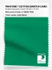 Product image 1 of the product “PANTONE® COTTON SWATCH CARD 17-6030 TCX Jelly Bean ”