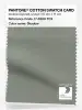 Artikelbild 1 des Artikels “PANTONE® COTTON SWATCH CARD 17-6206 TCX Shadow “