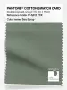 Product image 1 of the product “PANTONE® COTTON SWATCH CARD 17-6212 TCX Sea Spray ”