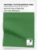 Product image 1 of the product “PANTONE® COTTON SWATCH CARD 17-6333 TCX Mint Green ”