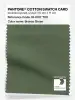 Product image 1 of the product “PANTONE® COTTON SWATCH CARD 18-0317 TCX Bronze Green ”