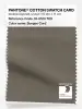Artikelbild 1 des Artikels “PANTONE® COTTON SWATCH CARD 18-0513 TCX Bungee Cord “