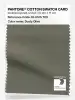 Product image 1 of the product “PANTONE® COTTON SWATCH CARD 18-0515 TCX Dusty Olive ”