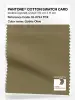 Product image 1 of the product “PANTONE® COTTON SWATCH CARD 18-0724 TCX Gothic Olive ”