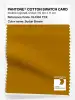 Product image 1 of the product “PANTONE® COTTON SWATCH CARD 18-1160 TCX Sudan Brown ”