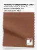 Artikelbild 1 des Artikels “PANTONE® COTTON SWATCH CARD 18-1242 TCX Brown Patina “