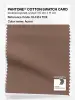 Product image 1 of the product “PANTONE® COTTON SWATCH CARD 18-1314 TCX Acorn ”