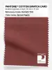 Artikelbild 1 des Artikels “PANTONE® COTTON SWATCH CARD 18-1325 TCX Spiced Apple “