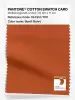 Product image 1 of the product “PANTONE® COTTON SWATCH CARD 18-1354 TCX Burnt Ochre ”