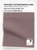 Product image 1 of the product “PANTONE® COTTON SWATCH CARD 18-1807 TCX Twilight Mauve ”