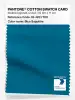 Artikelbild 1 des Artikels “PANTONE® COTTON SWATCH CARD 18-4231 TCX Blue Sapphire “