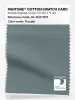 Product image 1 of the product “PANTONE® COTTON SWATCH CARD 18-4510 TCX Trooper ”