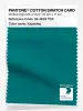 Product image 1 of the product “PANTONE® COTTON SWATCH CARD 18-4833 TCX Kayaking ”