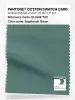 Product image 1 of the product “PANTONE® COTTON SWATCH CARD 18-5612 TCX Sagebrush Green ”