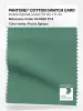 Product image 1 of the product “PANTONE® COTTON SWATCH CARD 18-5622 TCX Frosty Spruce ”