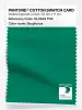 Product image 1 of the product “PANTONE® COTTON SWATCH CARD 18-5633 TCX Bosphorus ”