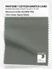 Product image 1 of the product “PANTONE® COTTON SWATCH CARD 18-5806 TCX Agave Green ”